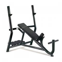 Скамья TECHNOGYM Inclined Bench