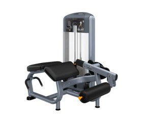 Сгибание ног лежа PRECOR DSL606