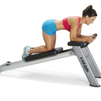 Тренажер для мышц пресса и спины Total Gym Core Trainer™