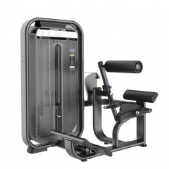 DHZ E7031 разгибание спины