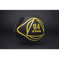 Медбол ZIVA Medicine Ball с ручками, 3-6 кг